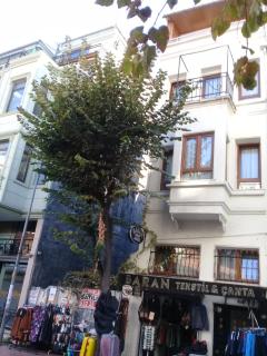 Baran Home Aparts - Istanbul - 8