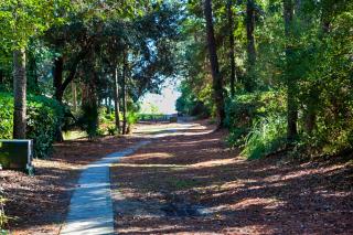 3 Whistling Swan - Hilton Head Island - 7