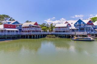 3 Whistling Swan - Hilton Head Island - 6