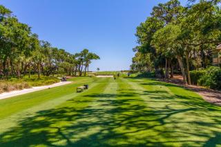 3 Whistling Swan - Hilton Head Island - 4