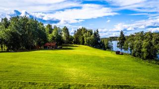 Järveoru - 5