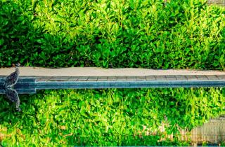 Casa Lu Hotel Boutique - Mazunte - 9