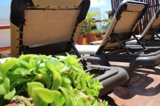 Cande's Apartments - Isla Mujeres - 3