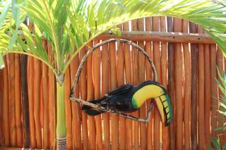 Cande's Apartments - Isla Mujeres - 2