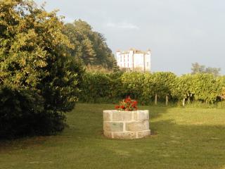 Chambres d'hôtes Noailles - 1