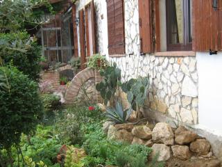 B&B Le Palme d'Oro - 9