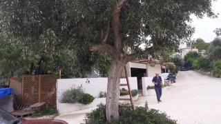 tzogias apartments nonna studio - 7