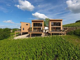 COTTAGES ANTOINETTE - Chigny-les-Roses - 0