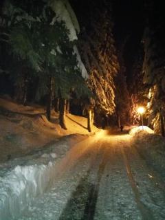 Hotel Elitza - Pamporovo - 1