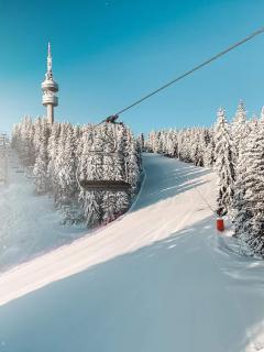 Hotel Elitza - Pamporovo - 8