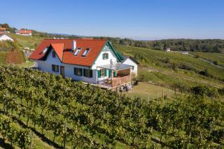 Kellerstöckl Weinblick I und II - Eisenberg an der Pinka - 7