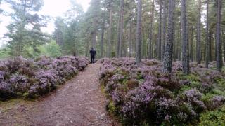 Brooklynn Guest House - 3