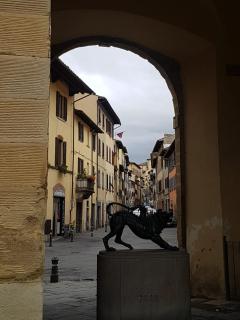 CASA FEDORA -Appartamento uso turistico centro storico di Arezzo - Arezzo - 1