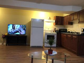 Spacious 2 Bedroom guest suite - 4
