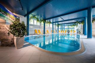 Parkhotel zur Klause - Bad Hall - 7