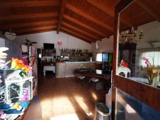 Agriturismo La Brezza - Castelnovo di Sotto - 3