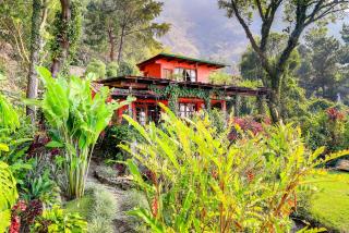 Casa Paxanax - Santa Cruz La Laguna - 9