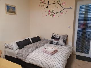 Apartma Gaber 80 - Zreče - 3
