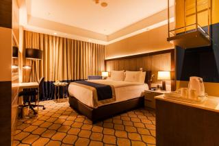 Holiday Inn Kayseri - Duvenonu by IHG - 3