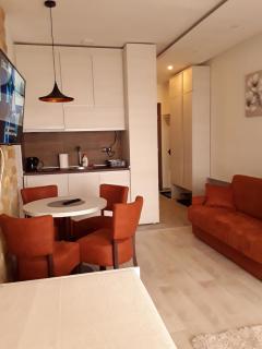 Milmari Apartman P38 - Kopaonik - 4