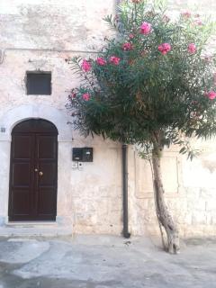 Nonna Angelina - Bisceglie - 0