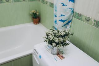 Apart-hotel Centr on street Petropavlovskaya 2 room - 1