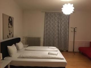 ZüriZimmer - Zurigo - 2