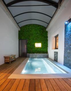 VILLA PALMA & SPA - LʼIsle-sur-la-Sorgue - 6