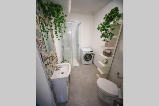 apartament Rynek - Leśna - 2