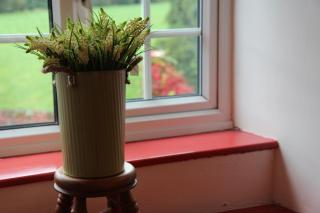 Wonderfully Scenic and Comfortable Dales Mill Property - 3