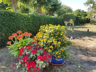 Villa Romantica Appartement - 300m zum Strand - Ostseebad Koserow - 1