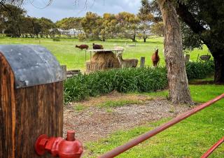 Cherry Plum Cottages - Port Fairy - 6