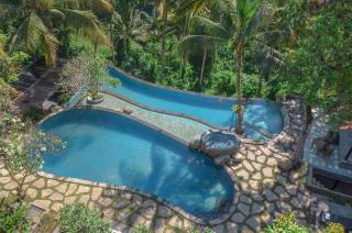 Bucu View Resort - Ubud - 5