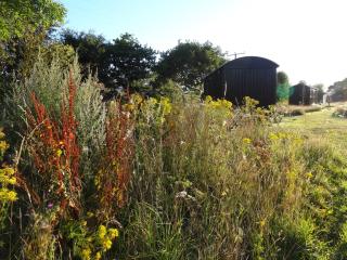 The Oaks Glamping - Pips Cabin - Colkirk - 7