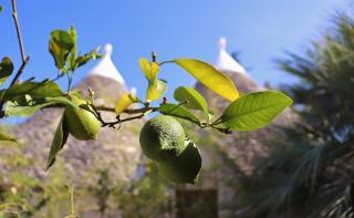 Trulli and Nature - 2