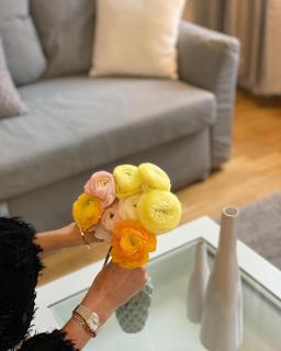 EL GUSTO HOMES Park - 6