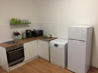 Best apartments Teplice - Teplice - 1