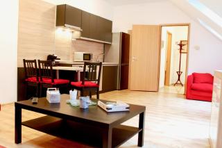 City Center Apartman Miskolc - Miskolc - 9