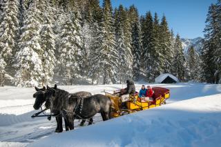 Landhotel Postgut - Tradition seit 1549 - 4