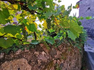 Rives and Sleep - Thonon-les-Bains - 4