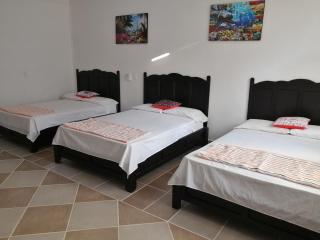 Hotel Tiktaalik - Puerto Escondido - 6