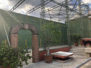 Un oasis de tranquilidad y diversión familiar - 2