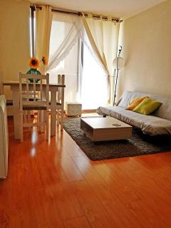 Departamento Bellas Artes 2 dormitorios, 2 baños - 3