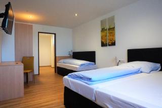 Hotel Wahlmüller - Sattledt - 4