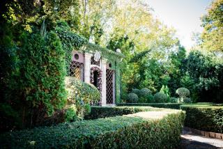 Hidden Grace - Parys - 0