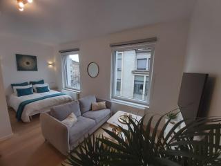 Logement luxueux dans le coeur de Bruxelles - Bruxelles - 7
