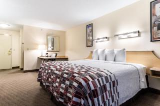 Red Roof Inn Cleveland Airport - Middleburg Heights - 1