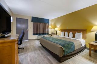 Jax Airport Hotel - Jacksonville - 8