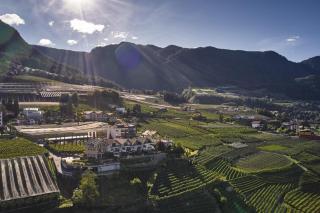 Romy & Johannes Guesthouse - Schenna - 8