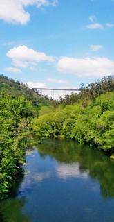 A Quinta Das Maceiras - 3